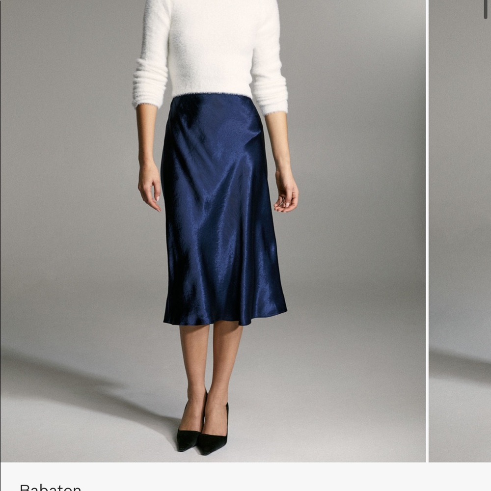 Babaton Slip skirt